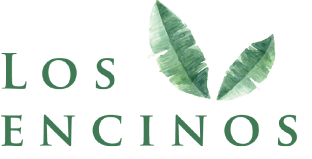 Los Encinos